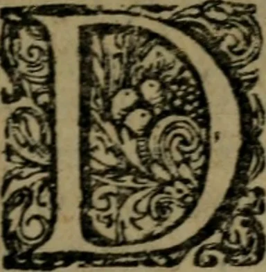 An illustration from De kapelle der dooden, of de algemeene dooden-spiegel. In welken alle menschen, van wat staat of rang zy zyn mogen, zich tot hun nut konnen beschouwen; om indagtig te zyn het memento mori, of gedenkt to sterven .., 1741, leaf 104