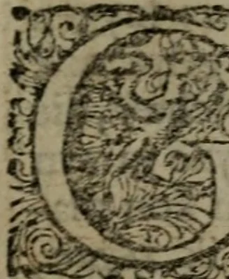 An illustration from De kapelle der dooden, of de algemeene dooden-spiegel. In welken alle menschen, van wat staat of rang zy zyn mogen, zich tot hun nut konnen beschouwen; om indagtig te zyn het memento mori, of gedenkt to sterven .., 1741, leaf 116