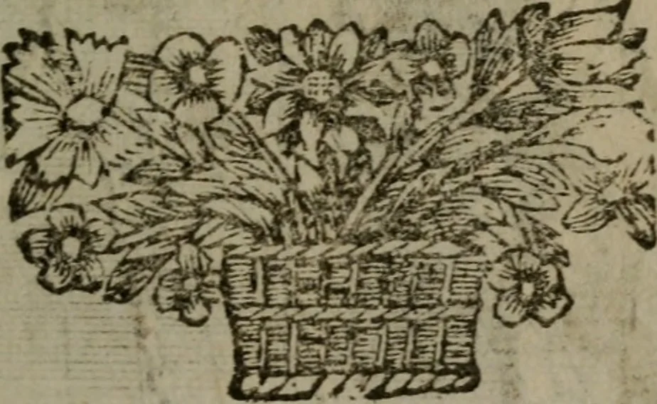 An illustration from De kapelle der dooden, of de algemeene dooden-spiegel. In welken alle menschen, van wat staat of rang zy zyn mogen, zich tot hun nut konnen beschouwen; om indagtig te zyn het memento mori, of gedenkt to sterven .., 1741, leaf 118