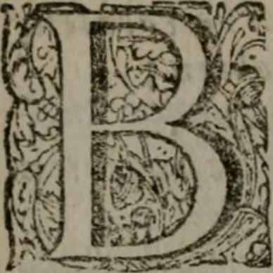 An illustration from De kapelle der dooden, of de algemeene dooden-spiegel. In welken alle menschen, van wat staat of rang zy zyn mogen, zich tot hun nut konnen beschouwen; om indagtig te zyn het memento mori, of gedenkt to sterven .., 1741, leaf 129