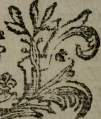 An illustration from De kapelle der dooden, of de algemeene dooden-spiegel. In welken alle menschen, van wat staat of rang zy zyn mogen, zich tot hun nut konnen beschouwen; om indagtig te zyn het memento mori, of gedenkt to sterven .., 1741, leaf 139