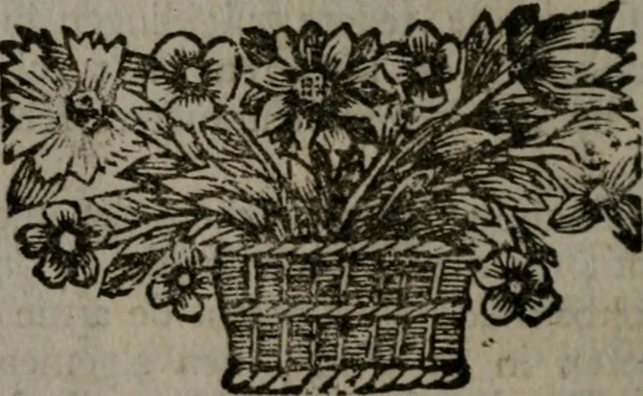 An illustration from De kapelle der dooden, of de algemeene dooden-spiegel. In welken alle menschen, van wat staat of rang zy zyn mogen, zich tot hun nut konnen beschouwen; om indagtig te zyn het memento mori, of gedenkt to sterven .., 1741, leaf 143