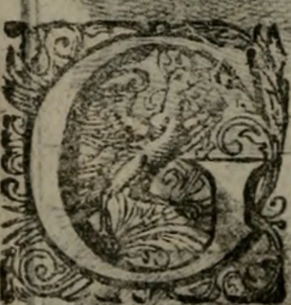 An illustration from De kapelle der dooden, of de algemeene dooden-spiegel. In welken alle menschen, van wat staat of rang zy zyn mogen, zich tot hun nut konnen beschouwen; om indagtig te zyn het memento mori, of gedenkt to sterven .., 1741, leaf 145