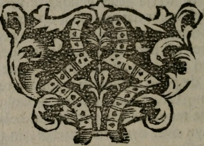 An illustration from De kapelle der dooden, of de algemeene dooden-spiegel. In welken alle menschen, van wat staat of rang zy zyn mogen, zich tot hun nut konnen beschouwen; om indagtig te zyn het memento mori, of gedenkt to sterven .., 1741, leaf 153