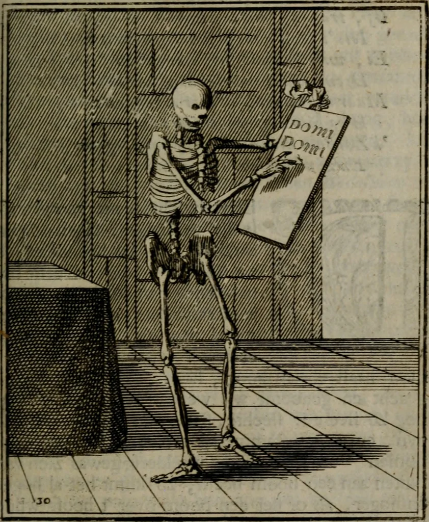 An illustration from De kapelle der dooden, of de algemeene dooden-spiegel. In welken alle menschen, van wat staat of rang zy zyn mogen, zich tot hun nut konnen beschouwen; om indagtig te zyn het memento mori, of gedenkt to sterven .., 1741, leaf 160