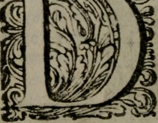 An illustration from De kapelle der dooden, of de algemeene dooden-spiegel. In welken alle menschen, van wat staat of rang zy zyn mogen, zich tot hun nut konnen beschouwen; om indagtig te zyn het memento mori, of gedenkt to sterven .., 1741, leaf 161