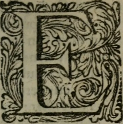 An illustration from De kapelle der dooden, of de algemeene dooden-spiegel. In welken alle menschen, van wat staat of rang zy zyn mogen, zich tot hun nut konnen beschouwen; om indagtig te zyn het memento mori, of gedenkt to sterven .., 1741, leaf 168