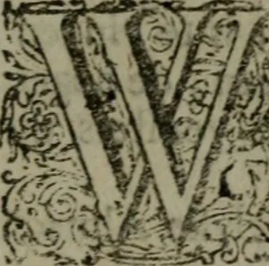 An illustration from De kapelle der dooden, of de algemeene dooden-spiegel. In welken alle menschen, van wat staat of rang zy zyn mogen, zich tot hun nut konnen beschouwen; om indagtig te zyn het memento mori, of gedenkt to sterven .., 1741, leaf 174