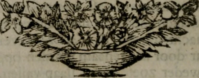 An illustration from De kapelle der dooden, of de algemeene dooden-spiegel. In welken alle menschen, van wat staat of rang zy zyn mogen, zich tot hun nut konnen beschouwen; om indagtig te zyn het memento mori, of gedenkt to sterven .., 1741, leaf 187