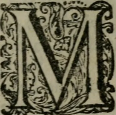 An illustration from De kapelle der dooden, of de algemeene dooden-spiegel. In welken alle menschen, van wat staat of rang zy zyn mogen, zich tot hun nut konnen beschouwen; om indagtig te zyn het memento mori, of gedenkt to sterven .., 1741, leaf 196
