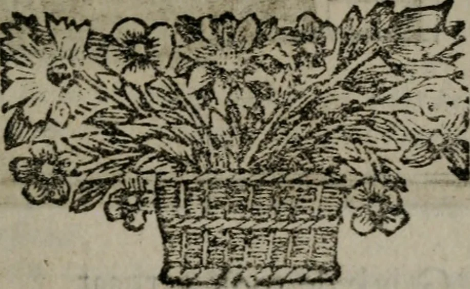 An illustration from De kapelle der dooden, of de algemeene dooden-spiegel. In welken alle menschen, van wat staat of rang zy zyn mogen, zich tot hun nut konnen beschouwen; om indagtig te zyn het memento mori, of gedenkt to sterven .., 1741, leaf 202