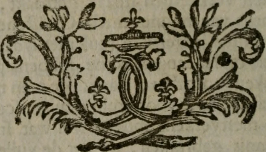 An illustration from De kapelle der dooden, of de algemeene dooden-spiegel. In welken alle menschen, van wat staat of rang zy zyn mogen, zich tot hun nut konnen beschouwen; om indagtig te zyn het memento mori, of gedenkt to sterven .., 1741, leaf 207