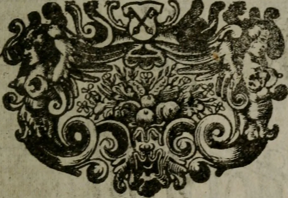 An illustration from De kapelle der dooden, of de algemeene dooden-spiegel. In welken alle menschen, van wat staat of rang zy zyn mogen, zich tot hun nut konnen beschouwen; om indagtig te zyn het memento mori, of gedenkt to sterven .., 1741, leaf 212