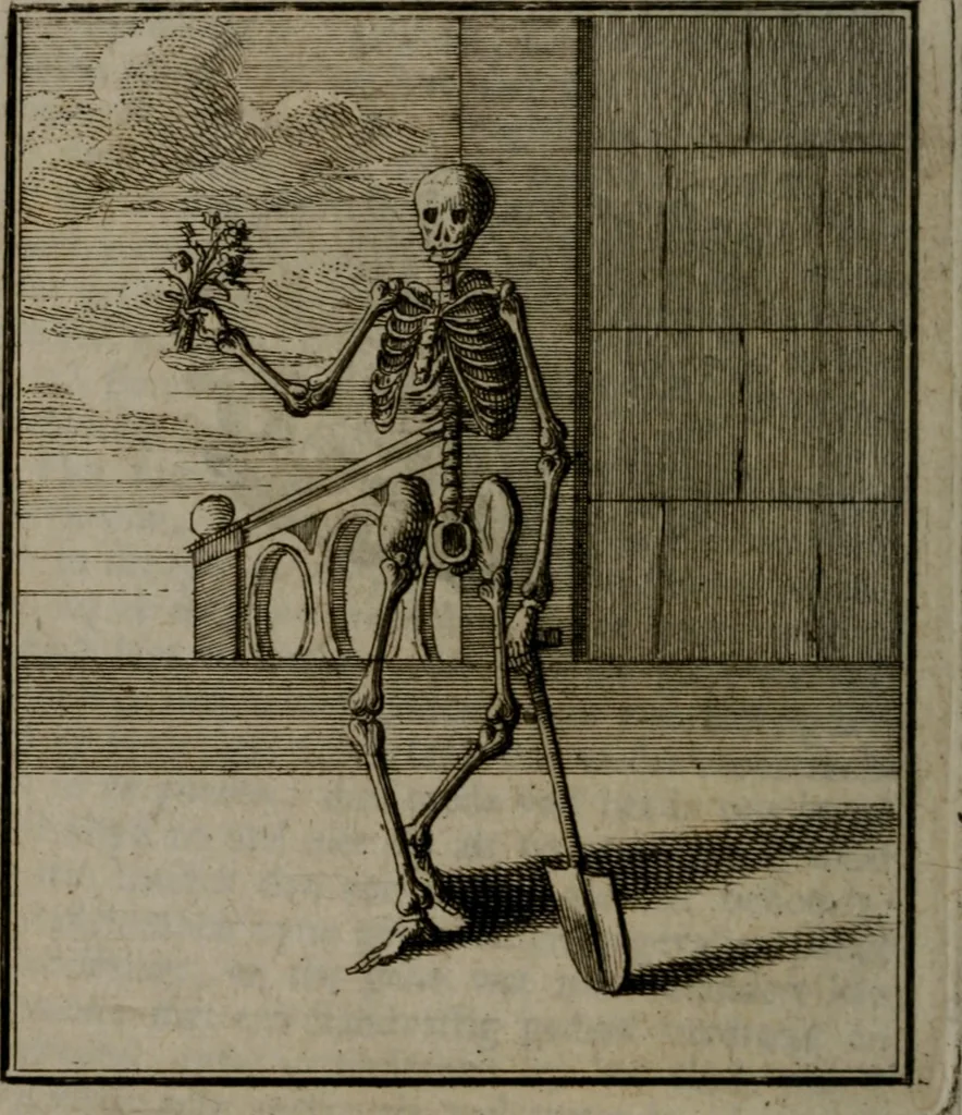 An illustration from De kapelle der dooden, of de algemeene dooden-spiegel. In welken alle menschen, van wat staat of rang zy zyn mogen, zich tot hun nut konnen beschouwen; om indagtig te zyn het memento mori, of gedenkt to sterven .., 1741, leaf 213