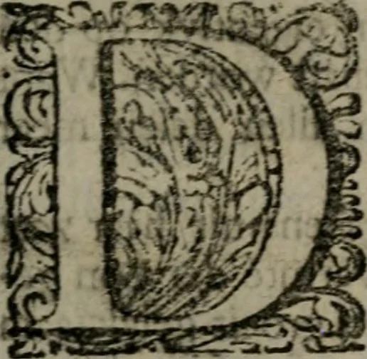 An illustration from De kapelle der dooden, of de algemeene dooden-spiegel. In welken alle menschen, van wat staat of rang zy zyn mogen, zich tot hun nut konnen beschouwen; om indagtig te zyn het memento mori, of gedenkt to sterven .., 1741, leaf 214