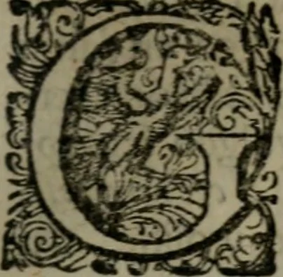 An illustration from De kapelle der dooden, of de algemeene dooden-spiegel. In welken alle menschen, van wat staat of rang zy zyn mogen, zich tot hun nut konnen beschouwen; om indagtig te zyn het memento mori, of gedenkt to sterven .., 1741, leaf 228