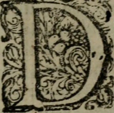 An illustration from De kapelle der dooden, of de algemeene dooden-spiegel. In welken alle menschen, van wat staat of rang zy zyn mogen, zich tot hun nut konnen beschouwen; om indagtig te zyn het memento mori, of gedenkt to sterven .., 1741, leaf 232