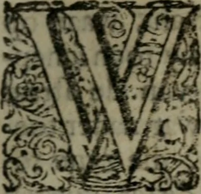 An illustration from De kapelle der dooden, of de algemeene dooden-spiegel. In welken alle menschen, van wat staat of rang zy zyn mogen, zich tot hun nut konnen beschouwen; om indagtig te zyn het memento mori, of gedenkt to sterven .., 1741, leaf 238
