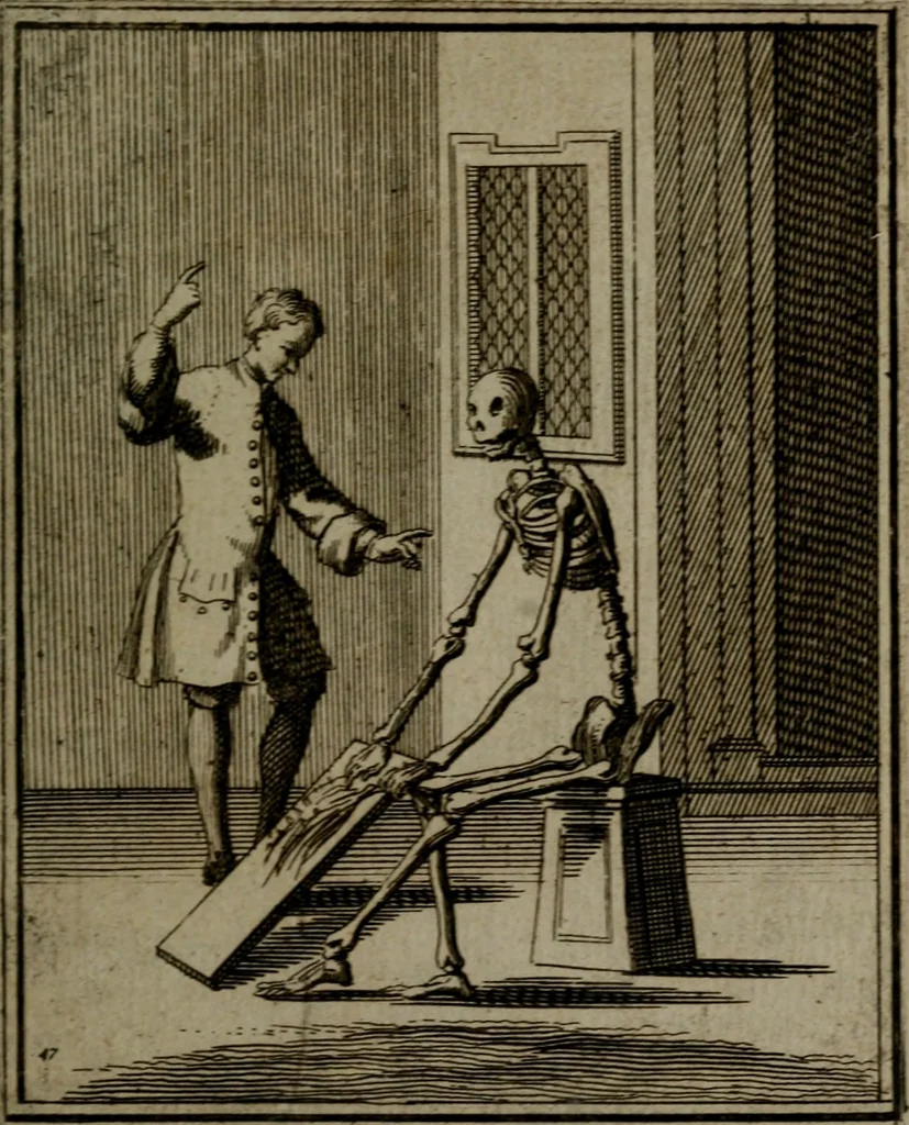 An illustration from De kapelle der dooden, of de algemeene dooden-spiegel. In welken alle menschen, van wat staat of rang zy zyn mogen, zich tot hun nut konnen beschouwen; om indagtig te zyn het memento mori, of gedenkt to sterven .., 1741, leaf 246