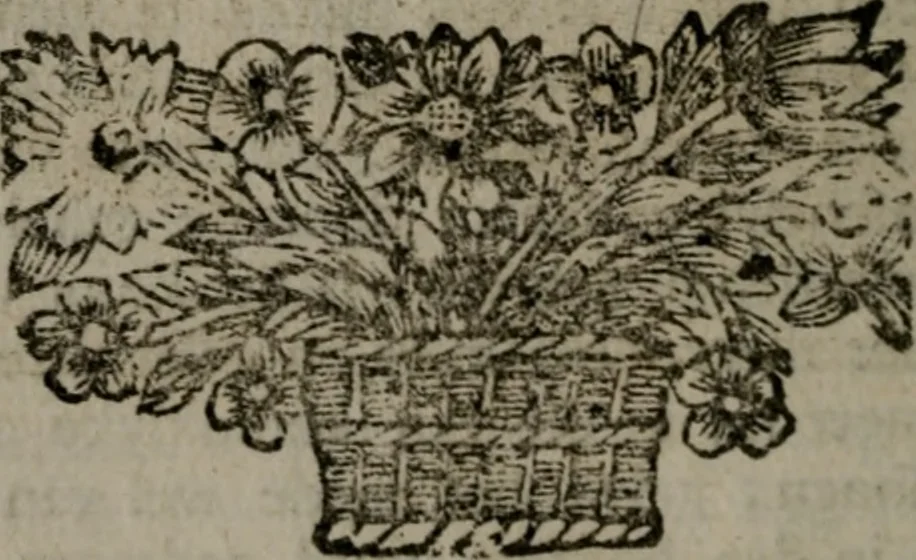 An illustration from De kapelle der dooden, of de algemeene dooden-spiegel. In welken alle menschen, van wat staat of rang zy zyn mogen, zich tot hun nut konnen beschouwen; om indagtig te zyn het memento mori, of gedenkt to sterven .., 1741, leaf 249