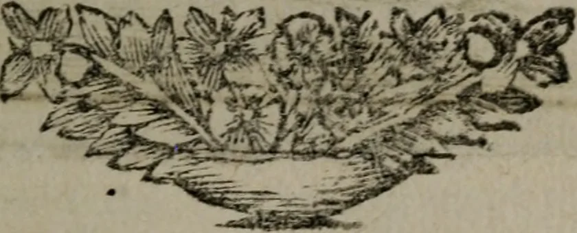 An illustration from De kapelle der dooden, of de algemeene dooden-spiegel. In welken alle menschen, van wat staat of rang zy zyn mogen, zich tot hun nut konnen beschouwen; om indagtig te zyn het memento mori, of gedenkt to sterven .., 1741, leaf 264