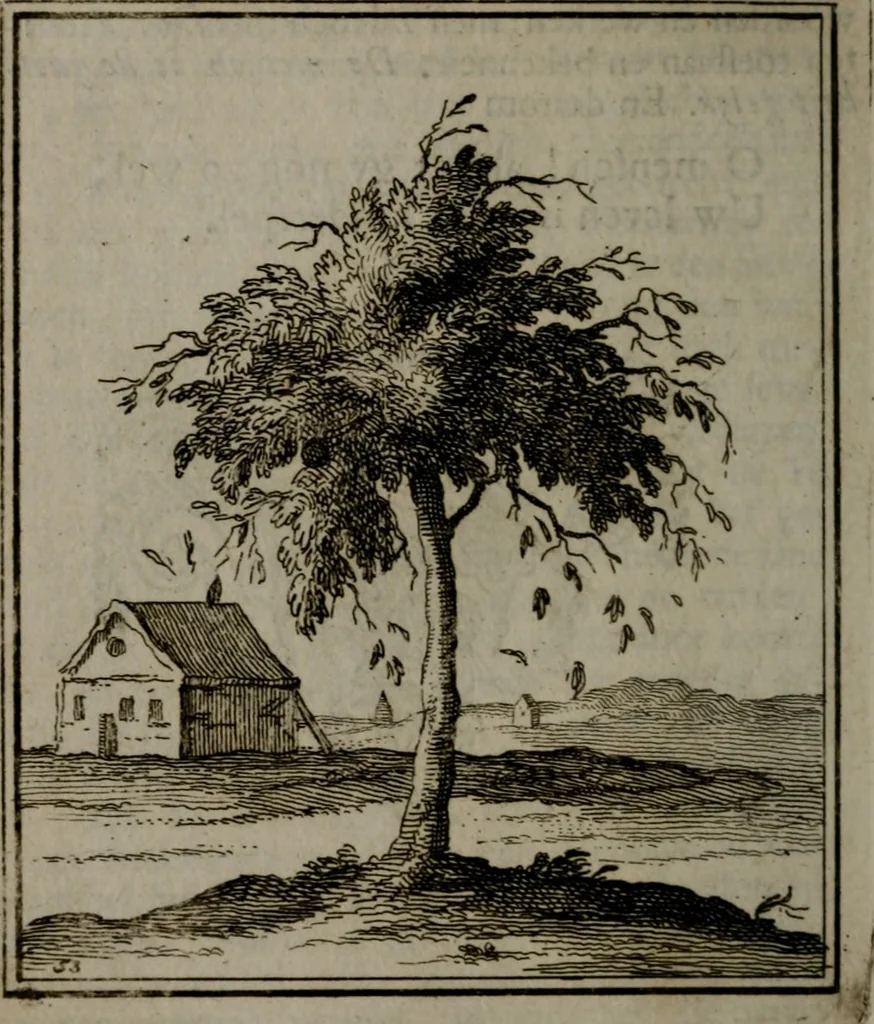 An illustration from De kapelle der dooden, of de algemeene dooden-spiegel. In welken alle menschen, van wat staat of rang zy zyn mogen, zich tot hun nut konnen beschouwen; om indagtig te zyn het memento mori, of gedenkt to sterven .., 1741, leaf 275