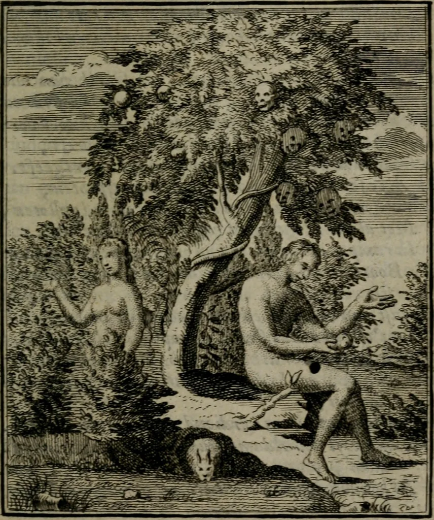 An illustration from De kapelle der dooden, of de algemeene dooden-spiegel. In welken alle menschen, van wat staat of rang zy zyn mogen, zich tot hun nut konnen beschouwen; om indagtig te zyn het memento mori, of gedenkt to sterven .., 1741, leaf 28