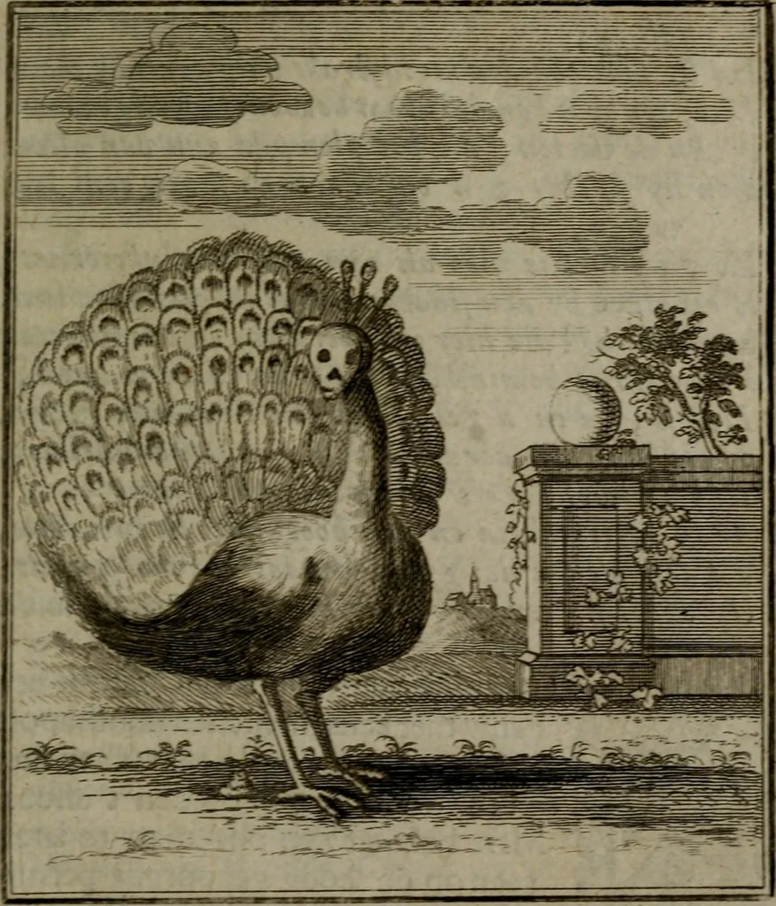 An illustration from De kapelle der dooden, of de algemeene dooden-spiegel. In welken alle menschen, van wat staat of rang zy zyn mogen, zich tot hun nut konnen beschouwen; om indagtig te zyn het memento mori, of gedenkt to sterven .., 1741, leaf 302