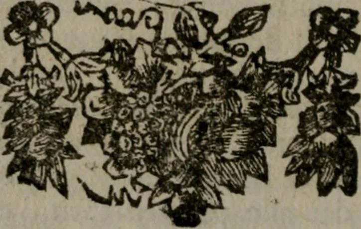An illustration from De kapelle der dooden, of de algemeene dooden-spiegel. In welken alle menschen, van wat staat of rang zy zyn mogen, zich tot hun nut konnen beschouwen; om indagtig te zyn het memento mori, of gedenkt to sterven .., 1741, leaf 307