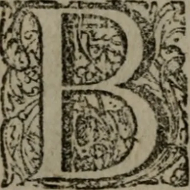 An illustration from De kapelle der dooden, of de algemeene dooden-spiegel. In welken alle menschen, van wat staat of rang zy zyn mogen, zich tot hun nut konnen beschouwen; om indagtig te zyn het memento mori, of gedenkt to sterven .., 1741, leaf 309
