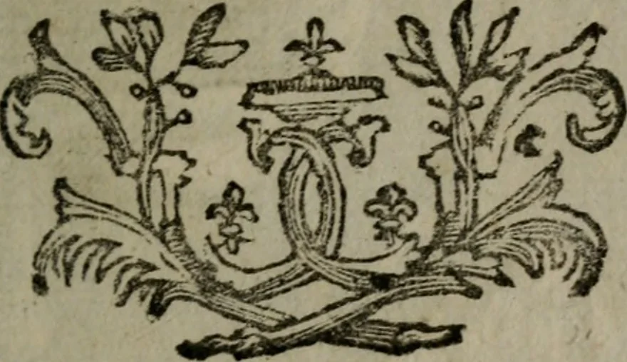An illustration from De kapelle der dooden, of de algemeene dooden-spiegel. In welken alle menschen, van wat staat of rang zy zyn mogen, zich tot hun nut konnen beschouwen; om indagtig te zyn het memento mori, of gedenkt to sterven .., 1741, leaf 322