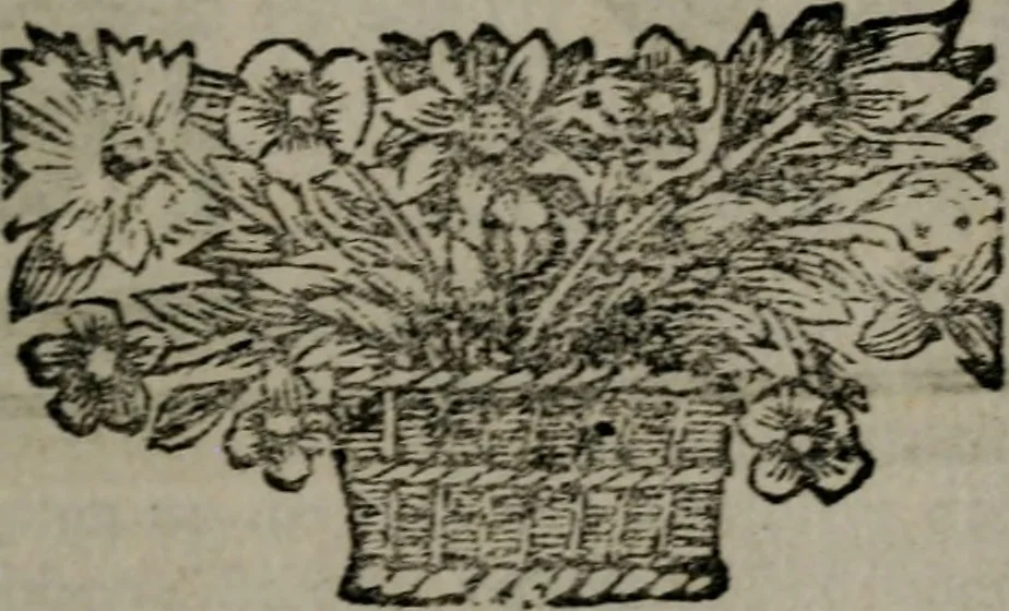An illustration from De kapelle der dooden, of de algemeene dooden-spiegel. In welken alle menschen, van wat staat of rang zy zyn mogen, zich tot hun nut konnen beschouwen; om indagtig te zyn het memento mori, of gedenkt to sterven .., 1741, leaf 340