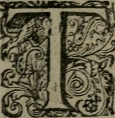 An illustration from De kapelle der dooden, of de algemeene dooden-spiegel. In welken alle menschen, van wat staat of rang zy zyn mogen, zich tot hun nut konnen beschouwen; om indagtig te zyn het memento mori, of gedenkt to sterven .., 1741, leaf 348
