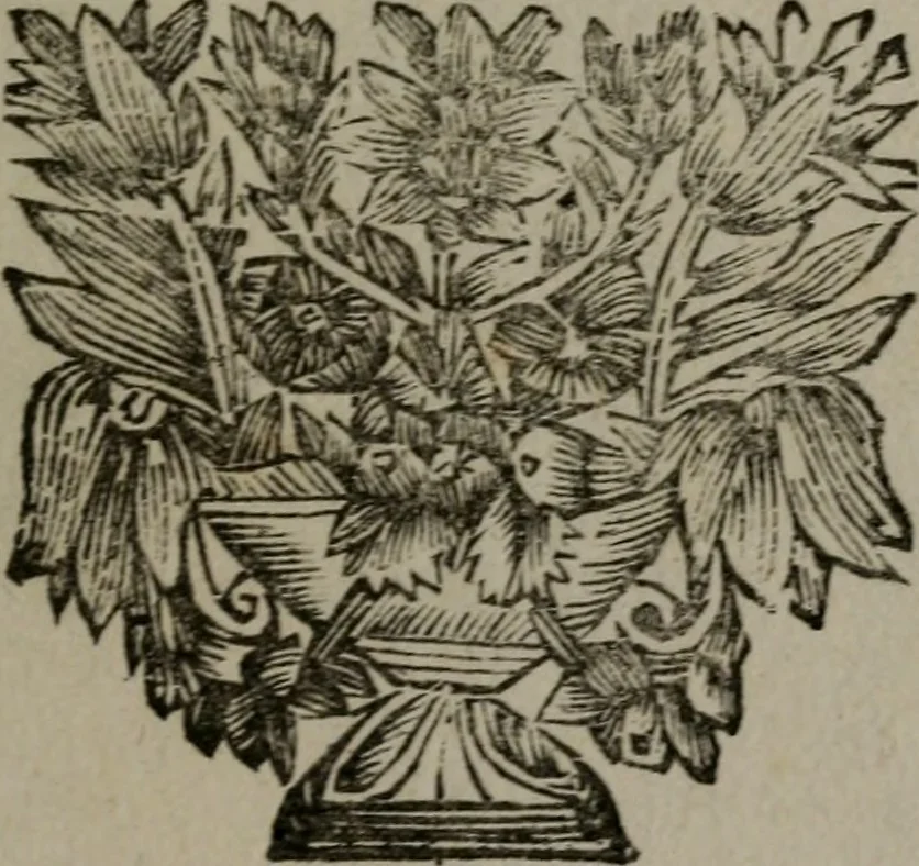 An illustration from De kapelle der dooden, of de algemeene dooden-spiegel. In welken alle menschen, van wat staat of rang zy zyn mogen, zich tot hun nut konnen beschouwen; om indagtig te zyn het memento mori, of gedenkt to sterven .., 1741, leaf 354