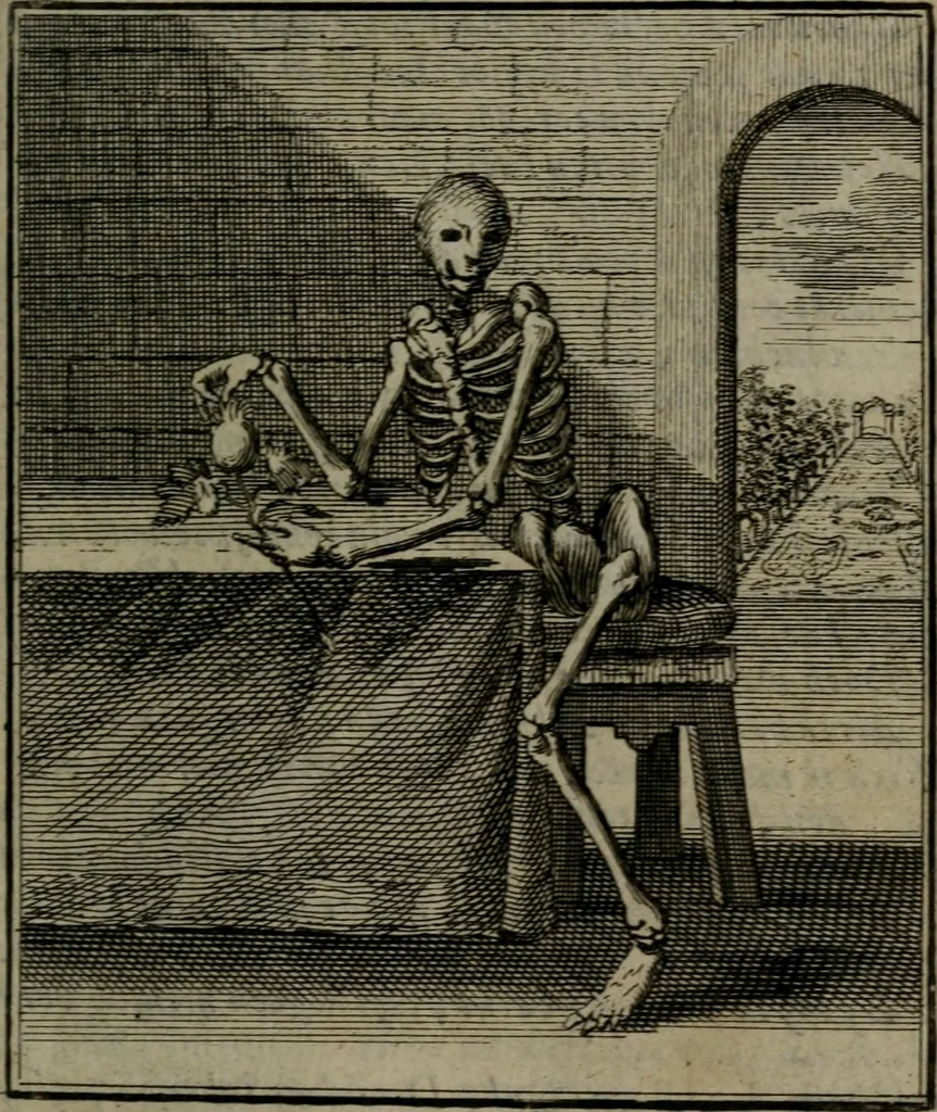 An illustration from De kapelle der dooden, of de algemeene dooden-spiegel. In welken alle menschen, van wat staat of rang zy zyn mogen, zich tot hun nut konnen beschouwen; om indagtig te zyn het memento mori, of gedenkt to sterven .., 1741, leaf 40