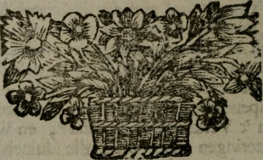 An illustration from De kapelle der dooden, of de algemeene dooden-spiegel. In welken alle menschen, van wat staat of rang zy zyn mogen, zich tot hun nut konnen beschouwen; om indagtig te zyn het memento mori, of gedenkt to sterven .., 1741, leaf 73