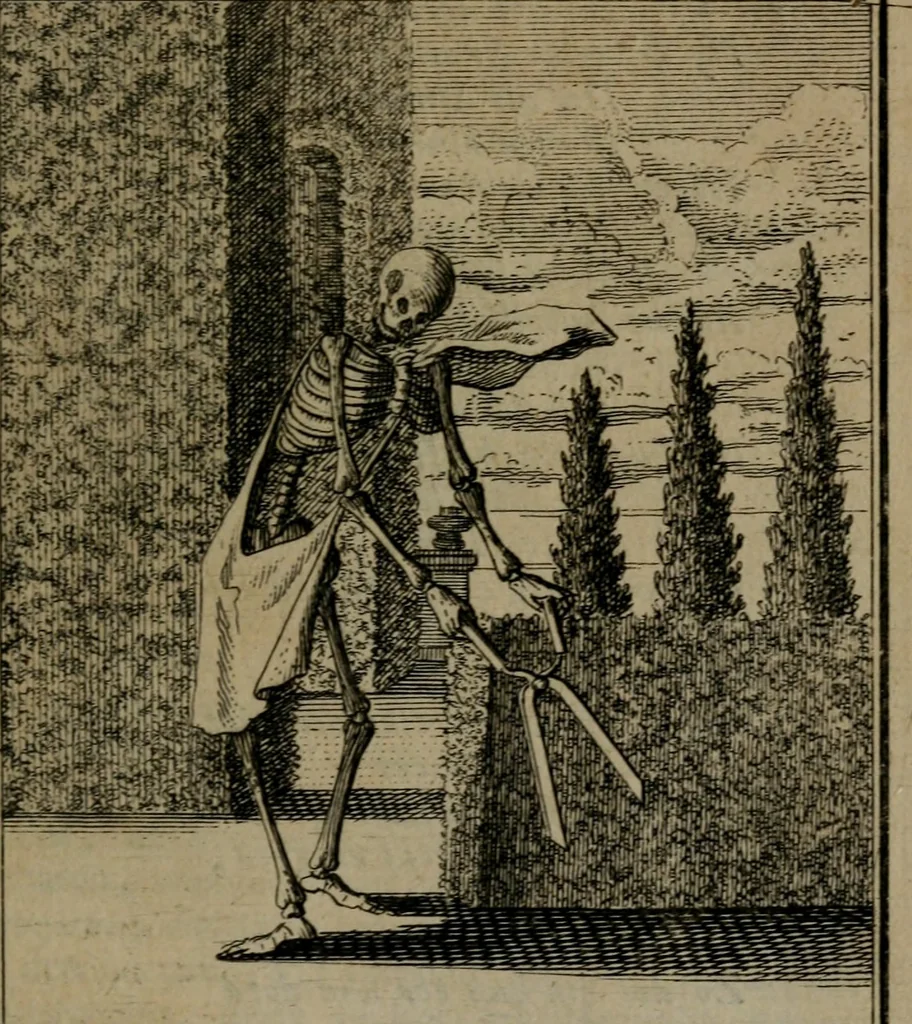 An illustration from De kapelle der dooden, of de algemeene dooden-spiegel. In welken alle menschen, van wat staat of rang zy zyn mogen, zich tot hun nut konnen beschouwen; om indagtig te zyn het memento mori, of gedenkt to sterven .., 1741, leaf 88