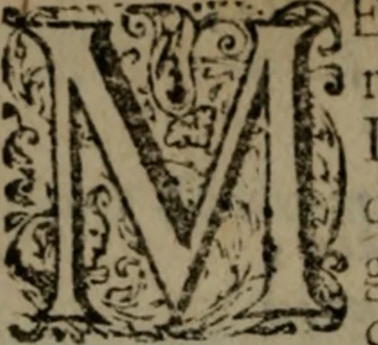 An illustration from De kapelle der dooden, of de algemeene dooden-spiegel. In welken alle menschen, van wat staat of rang zy zyn mogen, zich tot hun nut konnen beschouwen; om indagtig te zyn het memento mori, of gedenkt to sterven .., 1741, leaf 95