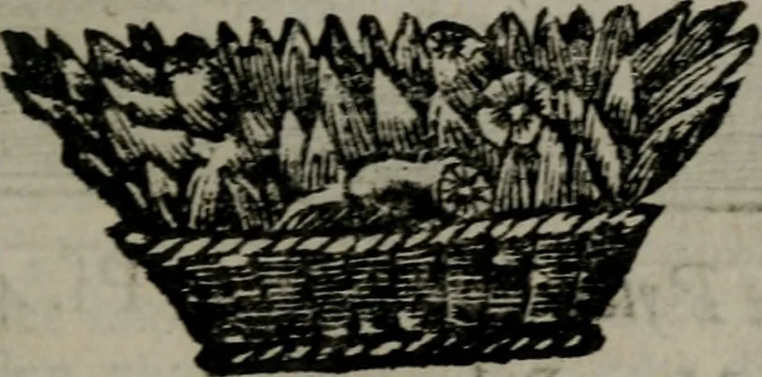 An illustration from De kapelle der dooden, of, De algemeene doodenspiegel : in welken all menschen, van wat staat of rang zy zyn mogen, zich tot hun nut konnen beschouwen : om indagtig ti zyn het memento mori, gedenkt te sterven ..., 1737, leaf 112