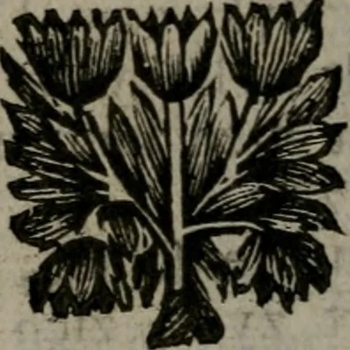 An illustration from De kapelle der dooden, of, De algemeene doodenspiegel : in welken all menschen, van wat staat of rang zy zyn mogen, zich tot hun nut konnen beschouwen : om indagtig ti zyn het memento mori, gedenkt te sterven ..., 1737, leaf 147