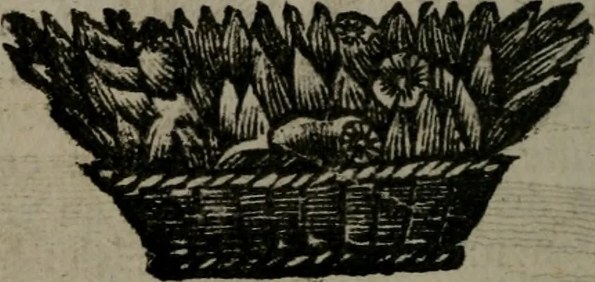 An illustration from De kapelle der dooden, of, De algemeene doodenspiegel : in welken all menschen, van wat staat of rang zy zyn mogen, zich tot hun nut konnen beschouwen : om indagtig ti zyn het memento mori, gedenkt te sterven ..., 1737, leaf 159
