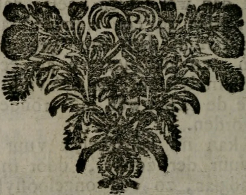 An illustration from De kapelle der dooden, of, De algemeene doodenspiegel : in welken all menschen, van wat staat of rang zy zyn mogen, zich tot hun nut konnen beschouwen : om indagtig ti zyn het memento mori, gedenkt te sterven ..., 1737, leaf 163