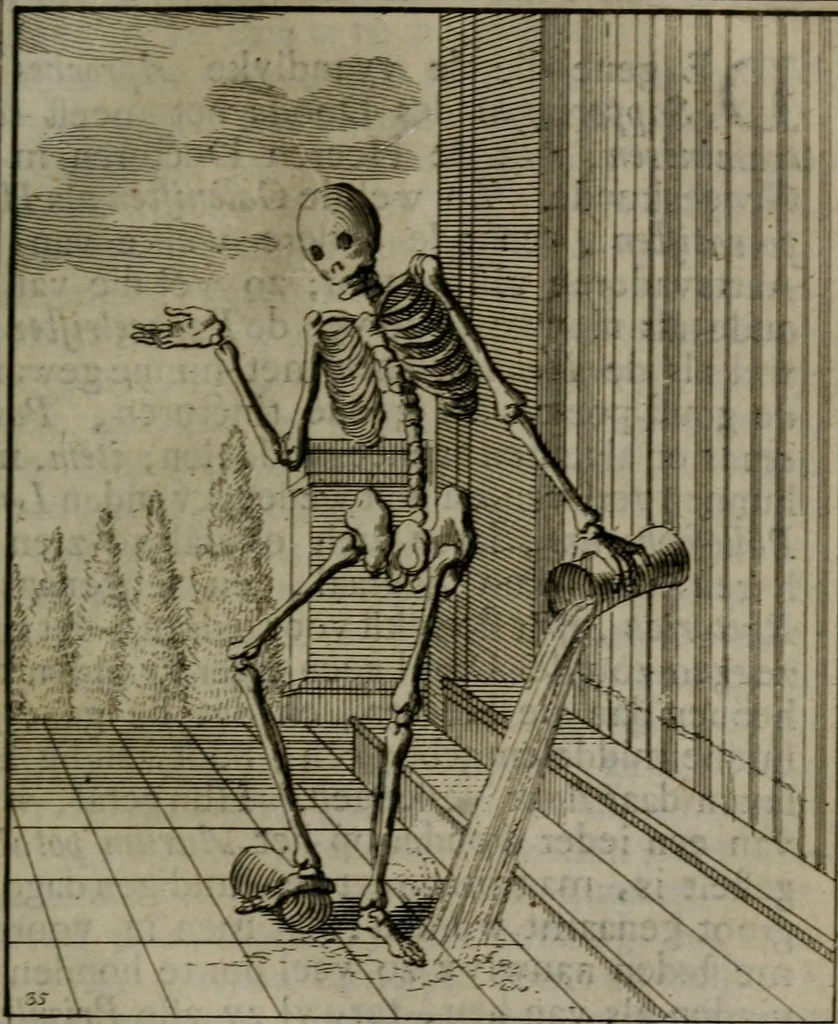 An illustration from De kapelle der dooden, of, De algemeene doodenspiegel : in welken all menschen, van wat staat of rang zy zyn mogen, zich tot hun nut konnen beschouwen : om indagtig ti zyn het memento mori, gedenkt te sterven ..., 1737, leaf 174