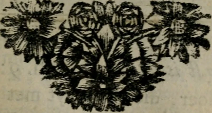 An illustration from De kapelle der dooden, of, De algemeene doodenspiegel : in welken all menschen, van wat staat of rang zy zyn mogen, zich tot hun nut konnen beschouwen : om indagtig ti zyn het memento mori, gedenkt te sterven ..., 1737, leaf 202