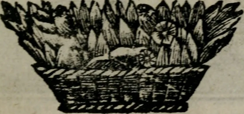 An illustration from De kapelle der dooden, of, De algemeene doodenspiegel : in welken all menschen, van wat staat of rang zy zyn mogen, zich tot hun nut konnen beschouwen : om indagtig ti zyn het memento mori, gedenkt te sterven ..., 1737, leaf 210