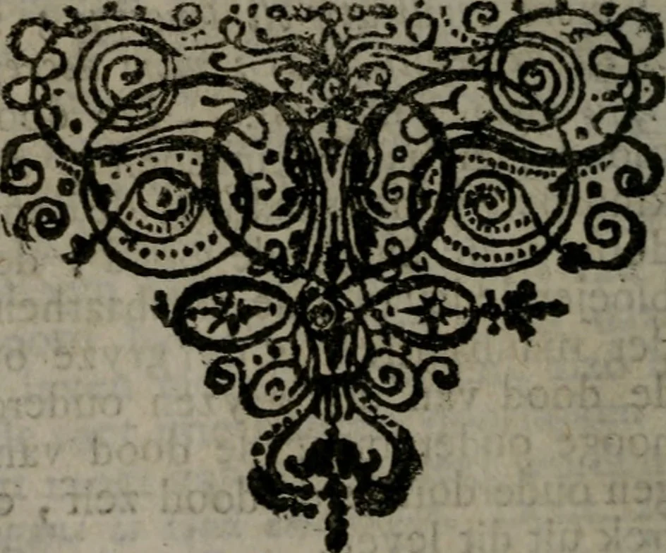 An illustration from De kapelle der dooden, of, De algemeene doodenspiegel : in welken all menschen, van wat staat of rang zy zyn mogen, zich tot hun nut konnen beschouwen : om indagtig ti zyn het memento mori, gedenkt te sterven ..., 1737, leaf 245