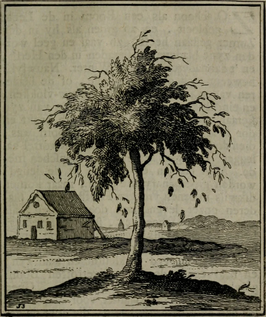 An illustration from De kapelle der dooden, of, De algemeene doodenspiegel : in welken all menschen, van wat staat of rang zy zyn mogen, zich tot hun nut konnen beschouwen : om indagtig ti zyn het memento mori, gedenkt te sterven ..., 1737, leaf 250
