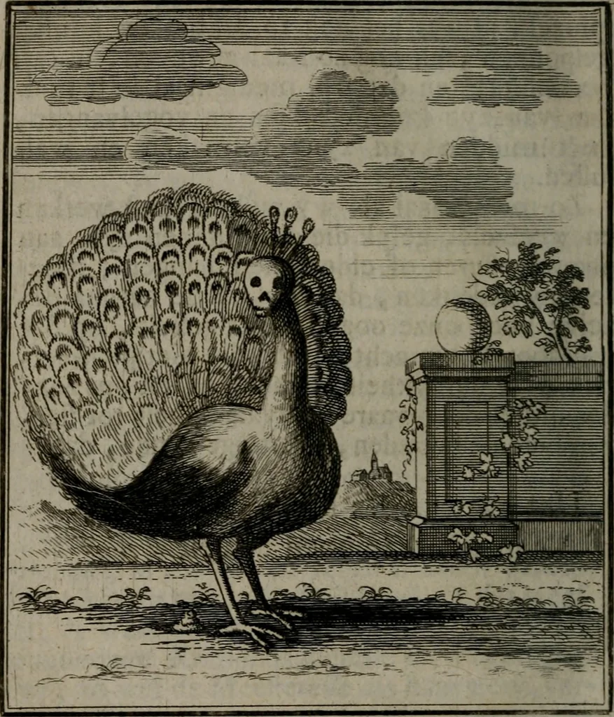 An illustration from De kapelle der dooden, of, De algemeene doodenspiegel : in welken all menschen, van wat staat of rang zy zyn mogen, zich tot hun nut konnen beschouwen : om indagtig ti zyn het memento mori, gedenkt te sterven ..., 1737, leaf 273