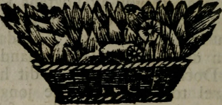 An illustration from De kapelle der dooden, of, De algemeene doodenspiegel : in welken all menschen, van wat staat of rang zy zyn mogen, zich tot hun nut konnen beschouwen : om indagtig ti zyn het memento mori, gedenkt te sterven ..., 1737, leaf 285