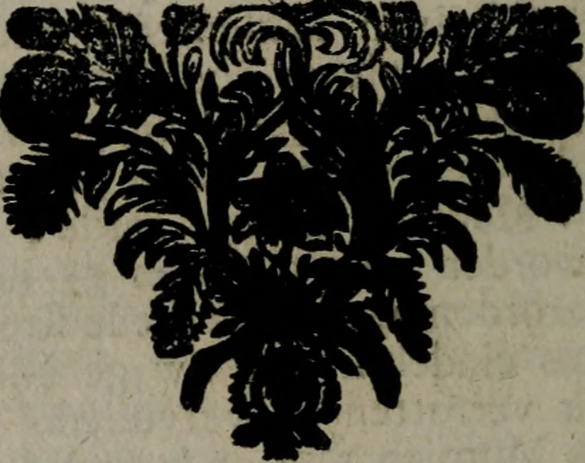 An illustration from De kapelle der dooden, of, De algemeene doodenspiegel : in welken all menschen, van wat staat of rang zy zyn mogen, zich tot hun nut konnen beschouwen : om indagtig ti zyn het memento mori, gedenkt te sterven ..., 1737, leaf 295